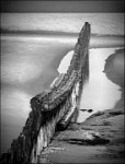 38 - SUR LA PLAGE - JASSELETTE RENE - belgium